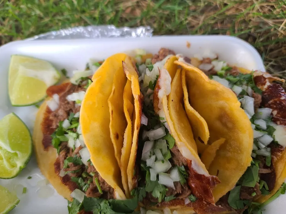 Birria Tacos
